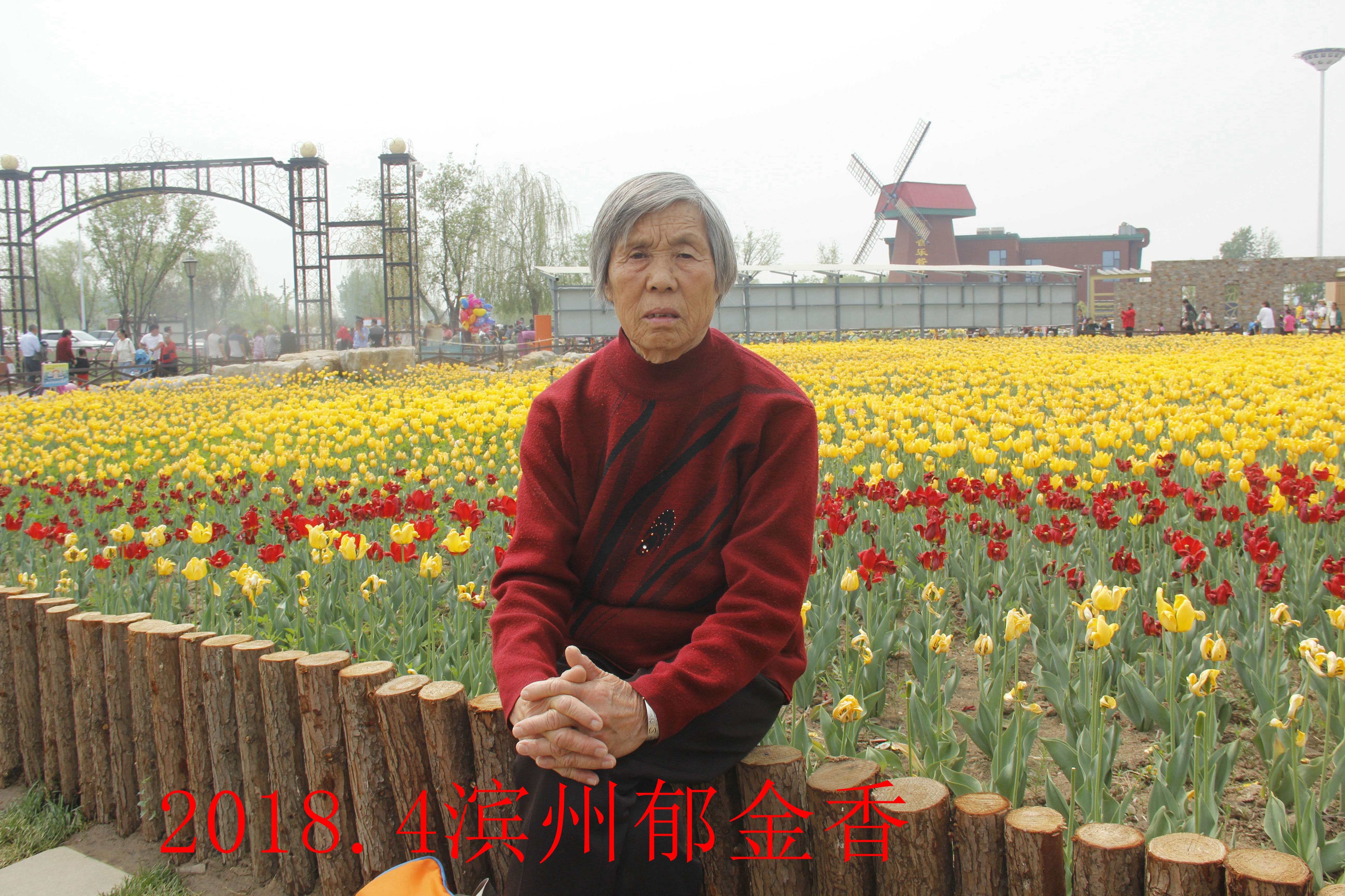 最美的她歌曲原唱,最美的歌献给我的母亲