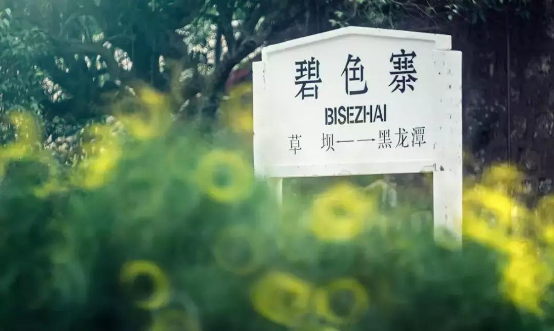 冬季视觉治愈系列！治好你的“冬天不想出门症”~