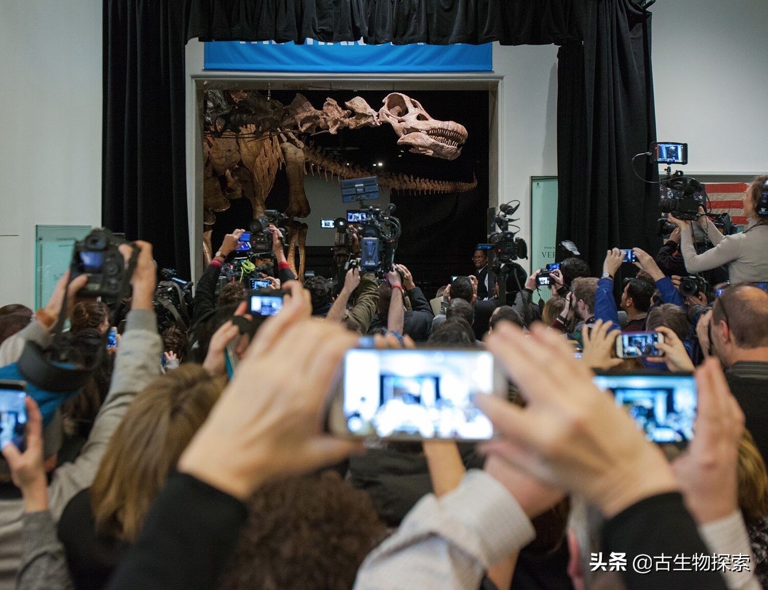 泰坦龙是最大的恐龙吗,世界上最高的恐龙是泰坦巨龙吗