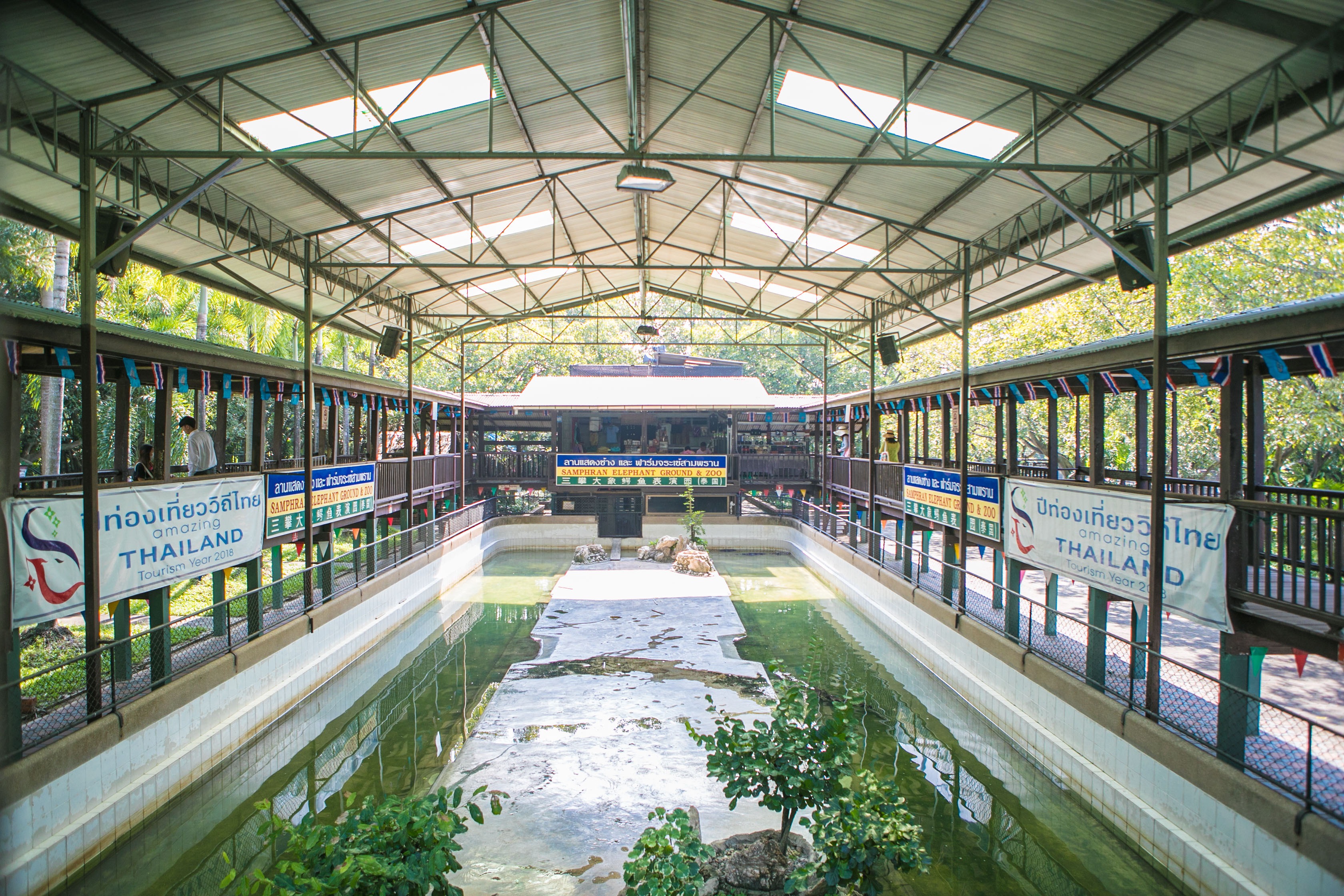 大象在泰国和印度象征着什么,大象是泰国的象征英语