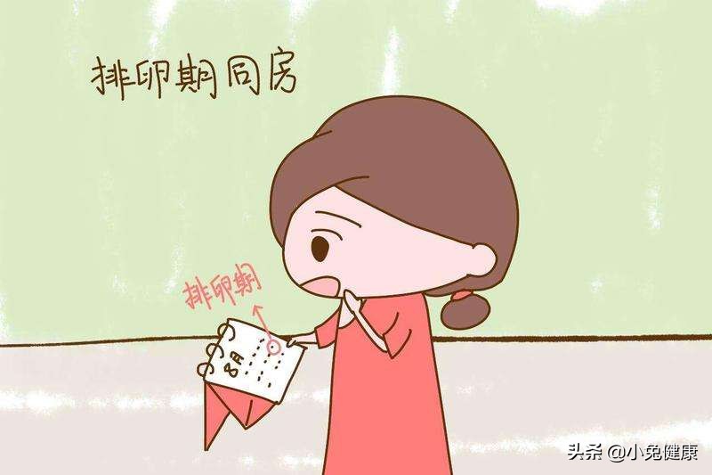 找准排卵期高效备孕,备孕排卵期安排几次