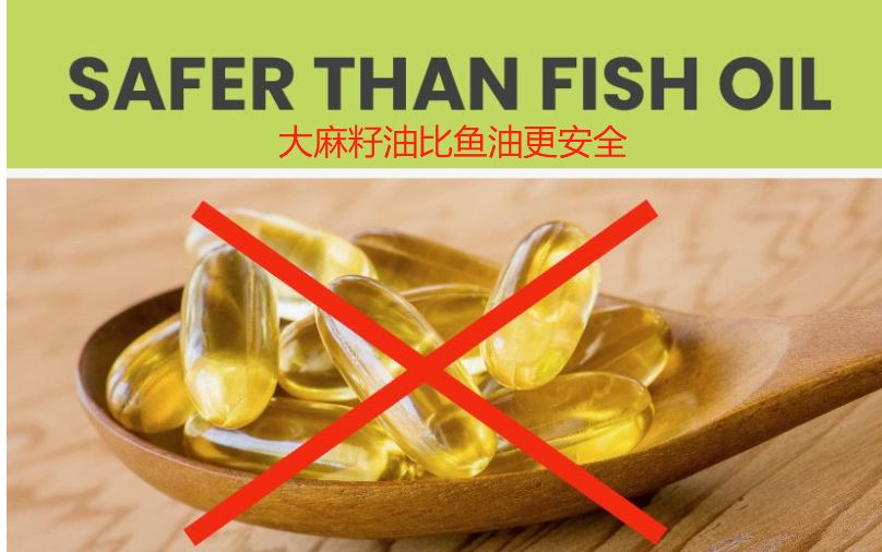 宠物亚麻籽油能代替鱼油吗,亚麻籽油猫狗能吃吗