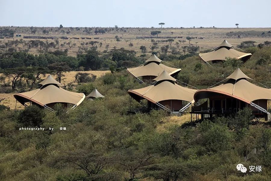 他，百亿富豪，常近乎全裸出现在公共视线里，却被英女王封为爵士