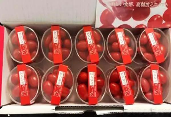 日本人就从来不抱怨苹果太贵，收藏几个异国瓜果能让你变成有钱人