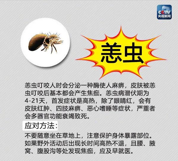 常年在垃圾桶旁边的蛇,垃圾桶里面有一条大蟒蛇