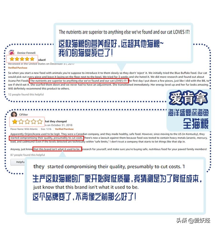 十大良心进口猫粮排名测评,进口天然猫粮