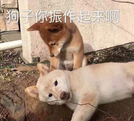 长斑了要怎么调理呢,长斑了该怎么办该用什么护肤品