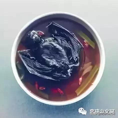 帕劳是哪个国家,帕劳群岛是哪个国家