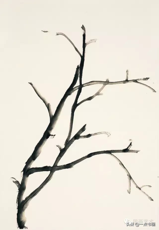 王绣写意牡丹画法步骤,王兮然写意牡丹画法视频大全