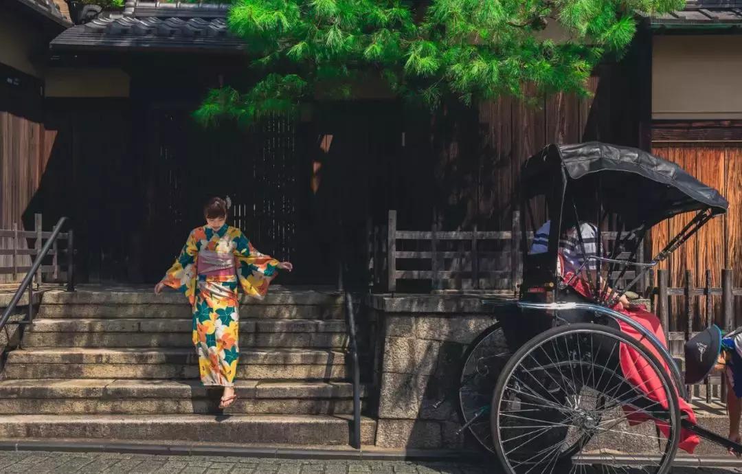 日韩邮轮2024全年航海计划,日韩航线的邮轮