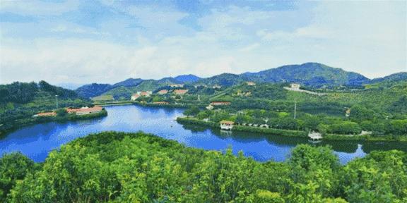 你回梅州了吗,还能回梅州吗