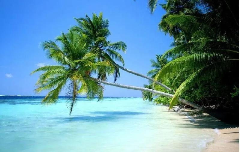 三亚不可错过的景区,2019海南三亚旅游避坑指南