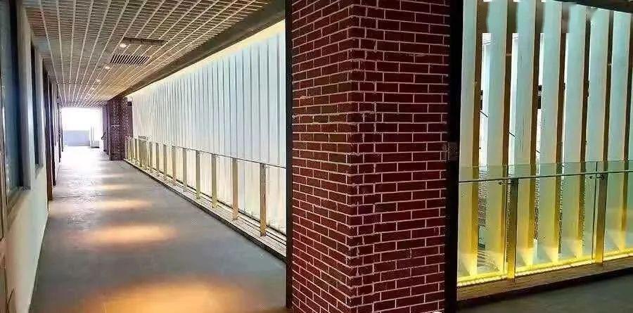 广东最豪华大学宿舍曝光！这些神仙级配置，酸了