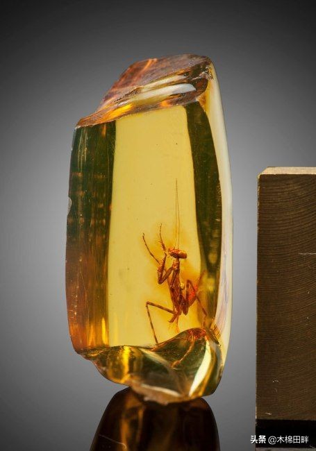 有哪些宝石首饰值得购买,首饰上的宝石值得买吗