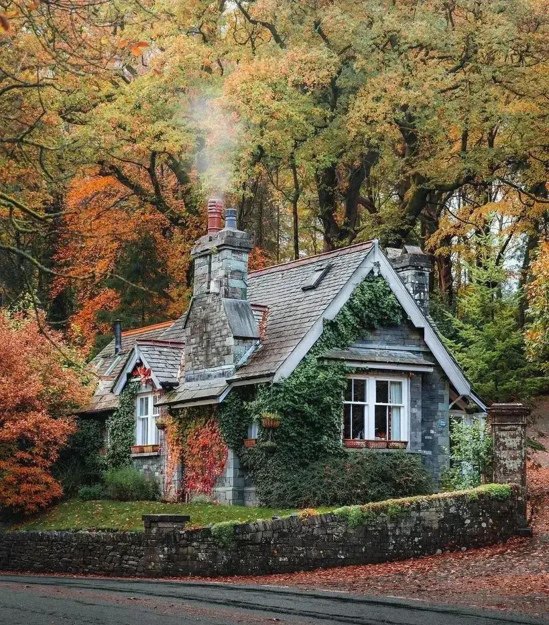 如何治疗拖延的毛病,改掉拖延毛病的书籍