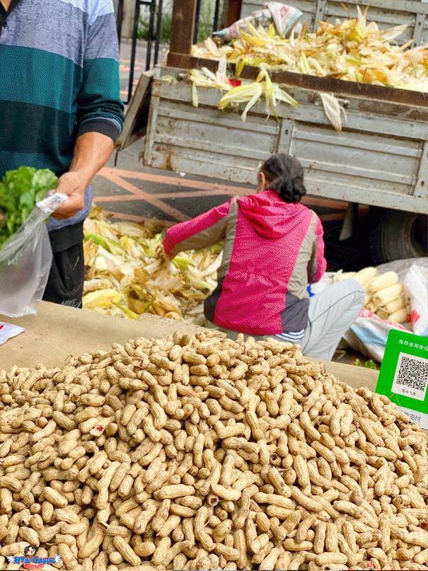 沈阳值得去的10个地方,沈阳最值得去的10个地方