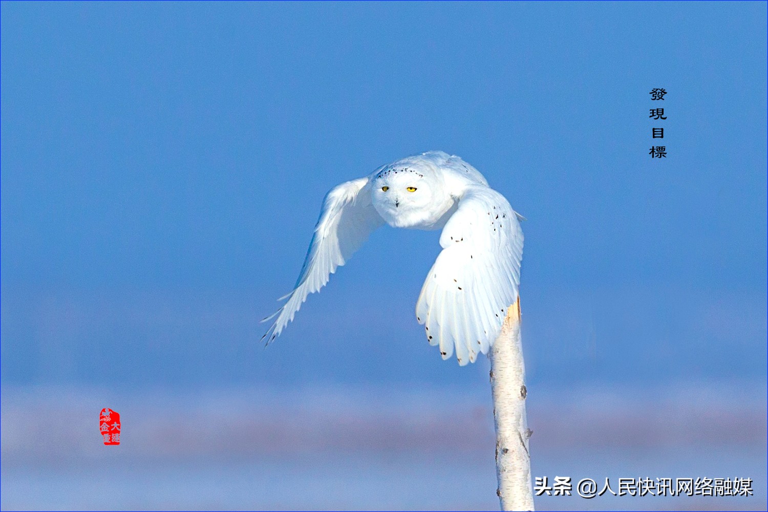 白衣天使大爱无疆的精神,白衣天使大爱无边完整版