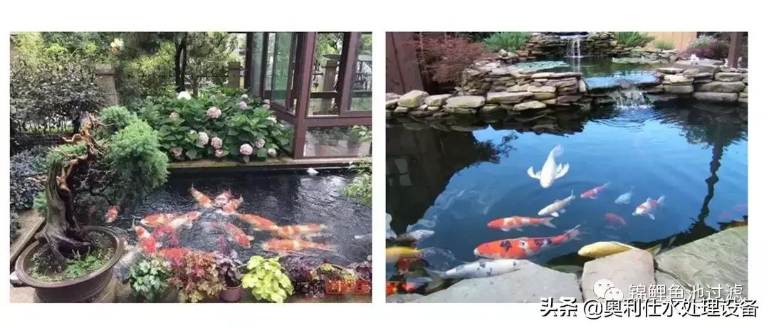 锦鲤鱼池过滤仓建造过程视频,锦鲤鱼池最好的过滤方式