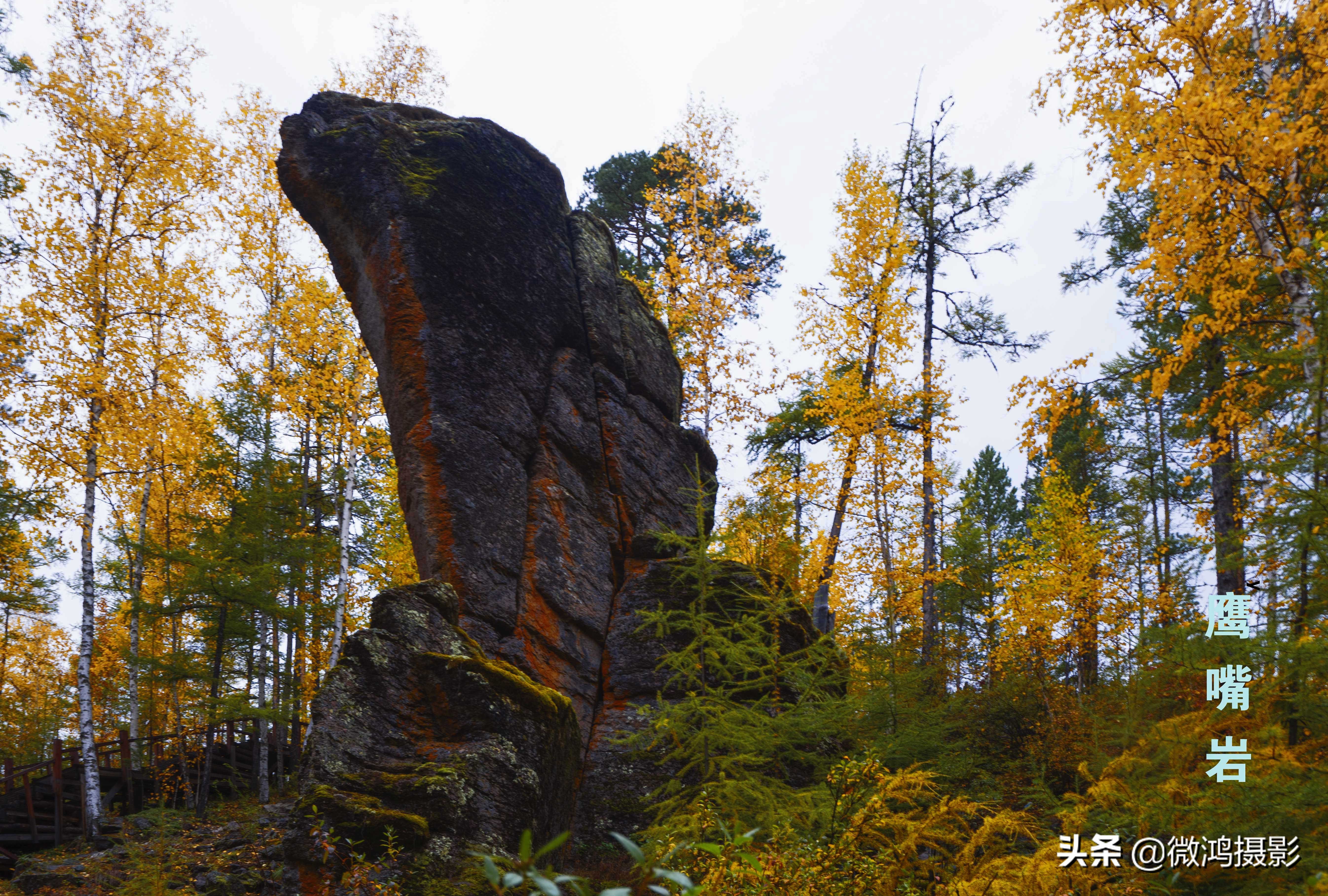 中国最北的石林,苍山石林图片