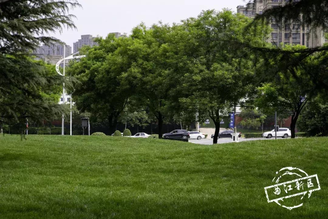 唐城墙遗址公园9区美景视频,西安电子正街的唐城墙遗址公园