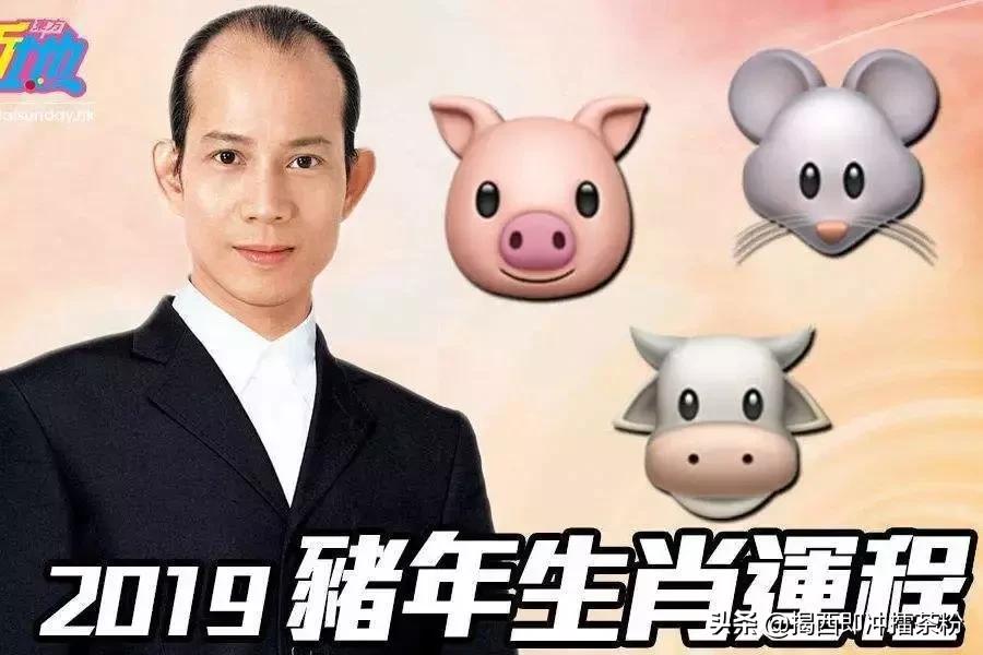 苏民峰2024年属相运程完整版,苏民峰2019年5月生肖运程