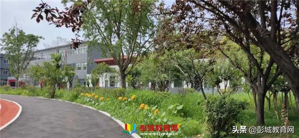 徐州市鼓楼区树成中学,徐州市鼓楼区树成小学部招生简章
