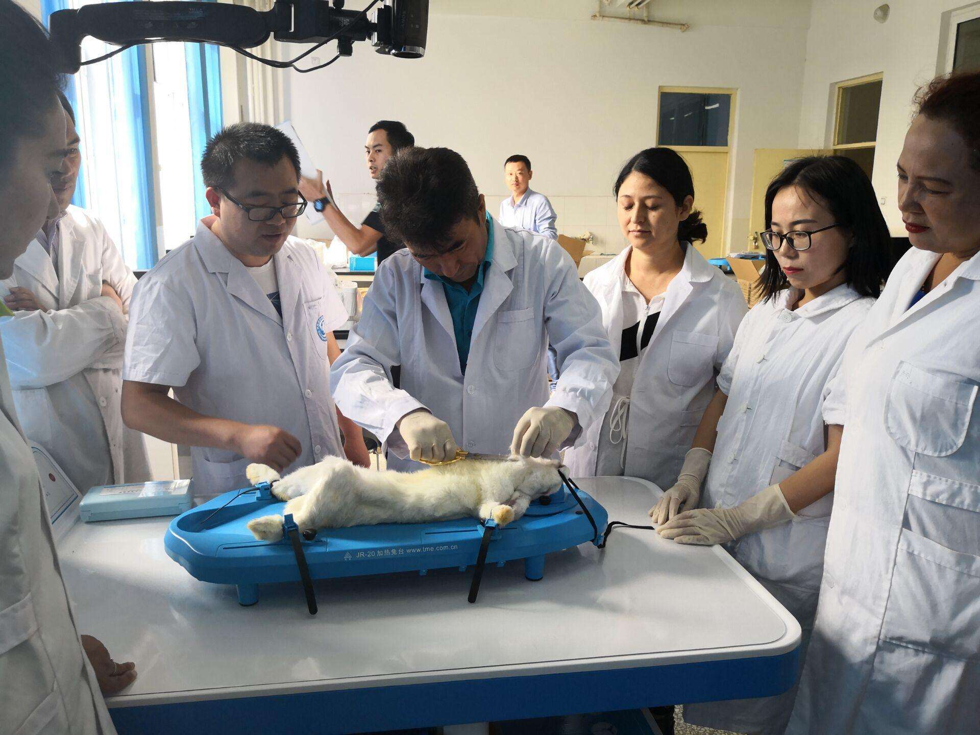 专科生学医前景如何,专科生学医哪些就业前景好