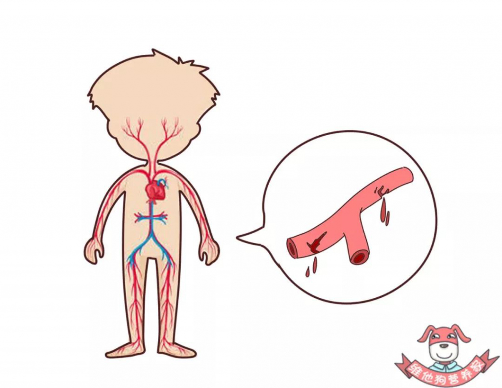 健康科普熬夜失眠自救指南,熬夜健康常识