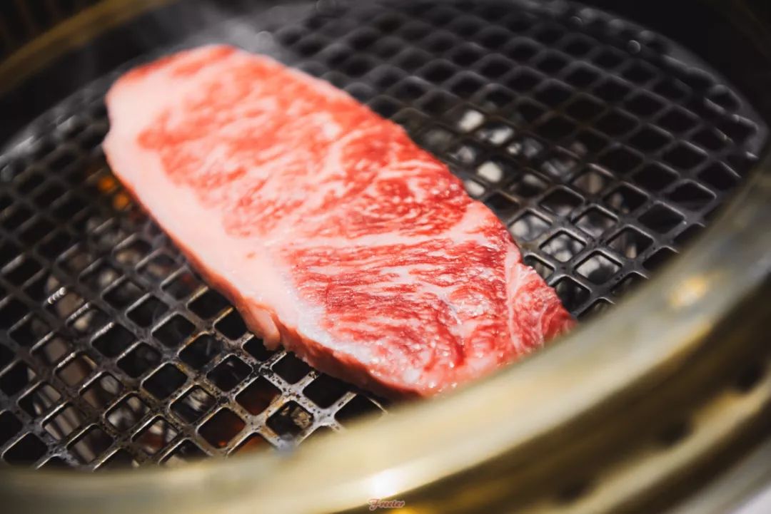 海口飞特,飞特推荐