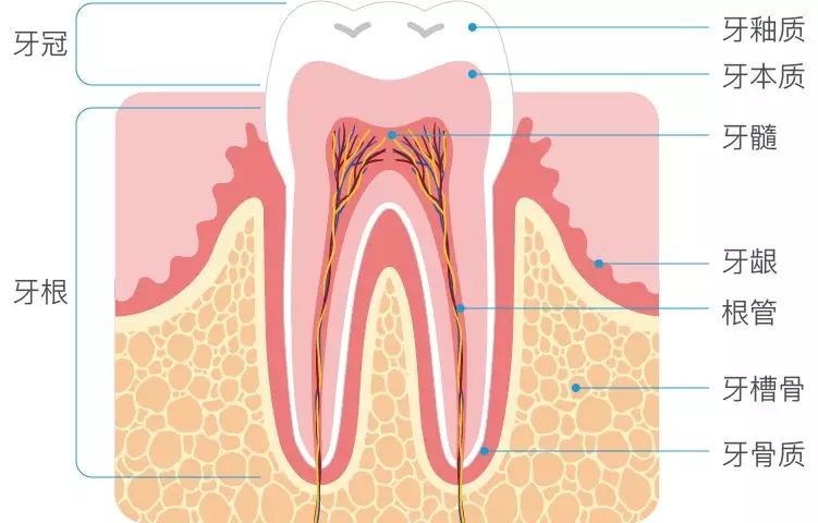 牙本质过敏的临床表现预防和治疗,牙本质过敏症治疗方法是