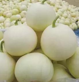 反季节香瓜种植,今年的香瓜种植方法