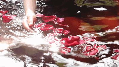 春暖花开健康温泉,春暖花开博罗