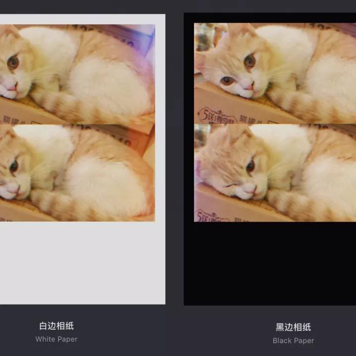 用手机就能拍出胶片照的app,有胶片感的手机拍照app