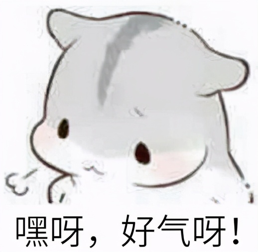 买的保险不想交了如何退划算,蚂蚁保险怎么退保我不想买了