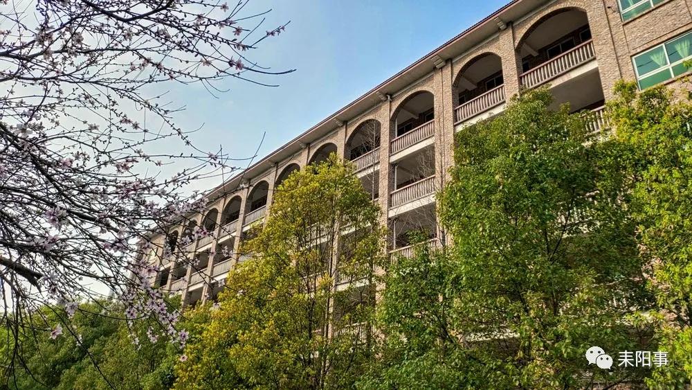 迎接校园里的百花齐放,教室窗外百花齐放