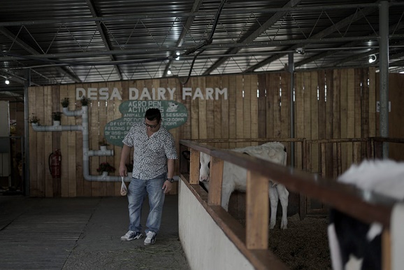 沙巴攻略详细介绍 (沙巴8天攻略)