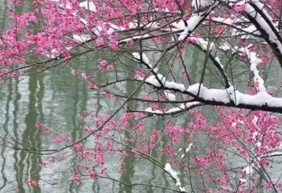 最美暮春诗词100首,秋冬花的优美诗词