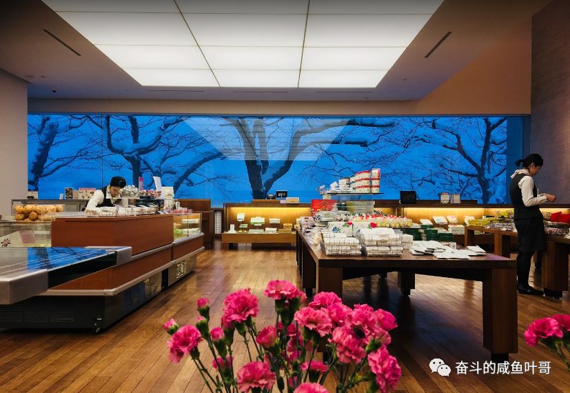 北海道函馆推荐,北海道的夏天