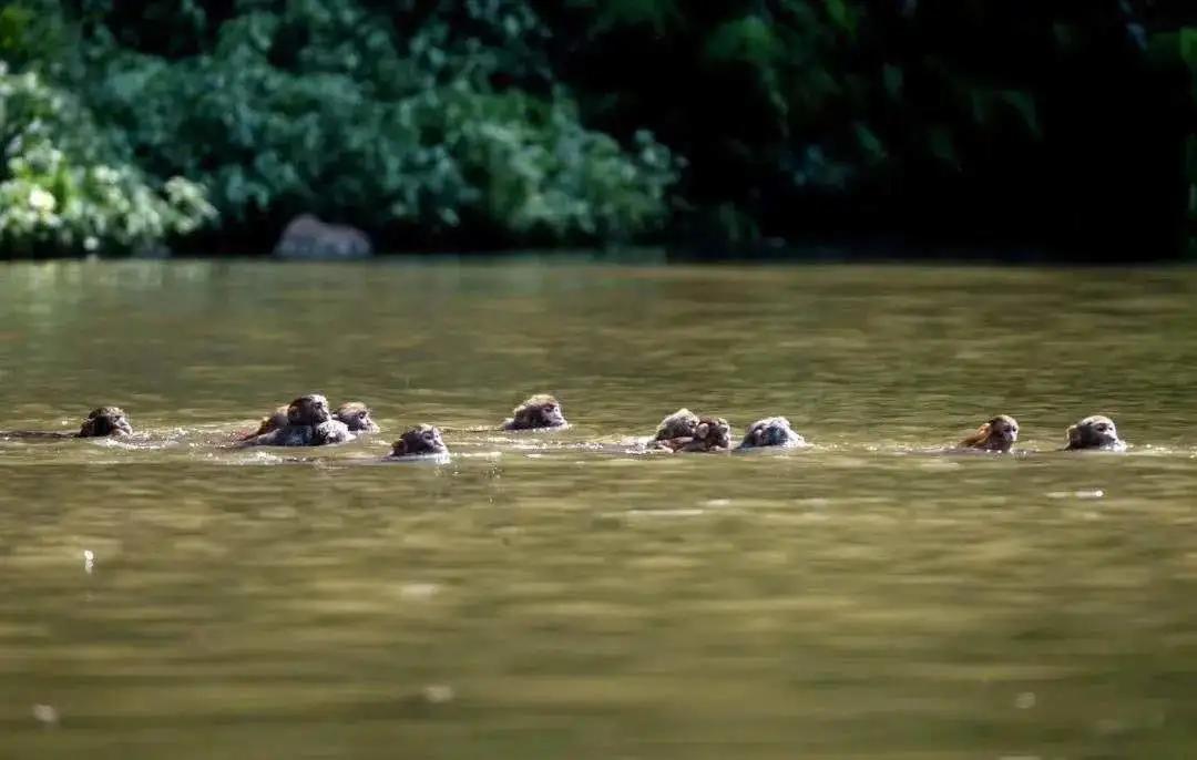 统景温泉城项目,统景温泉改造