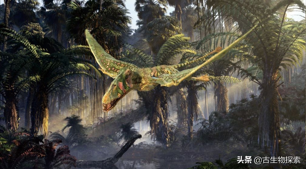 科学家发现恐龙的线索,翼龙会吃什么