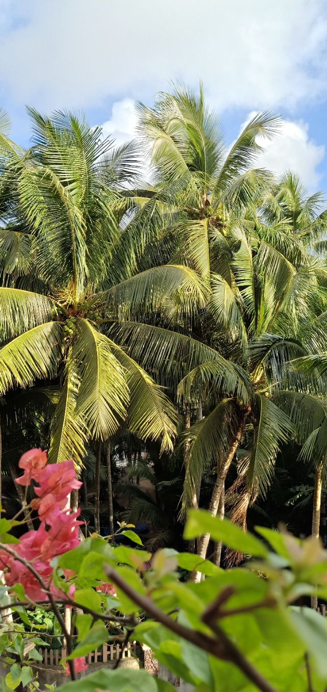 曾晓华散文诗,曾晓华的散文诗