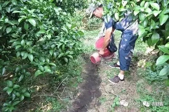 有机菌肥哪个品牌最好,有机菌肥多少钱一袋