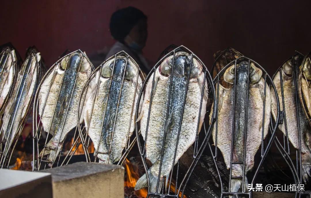 伽师县发展,伽师发展