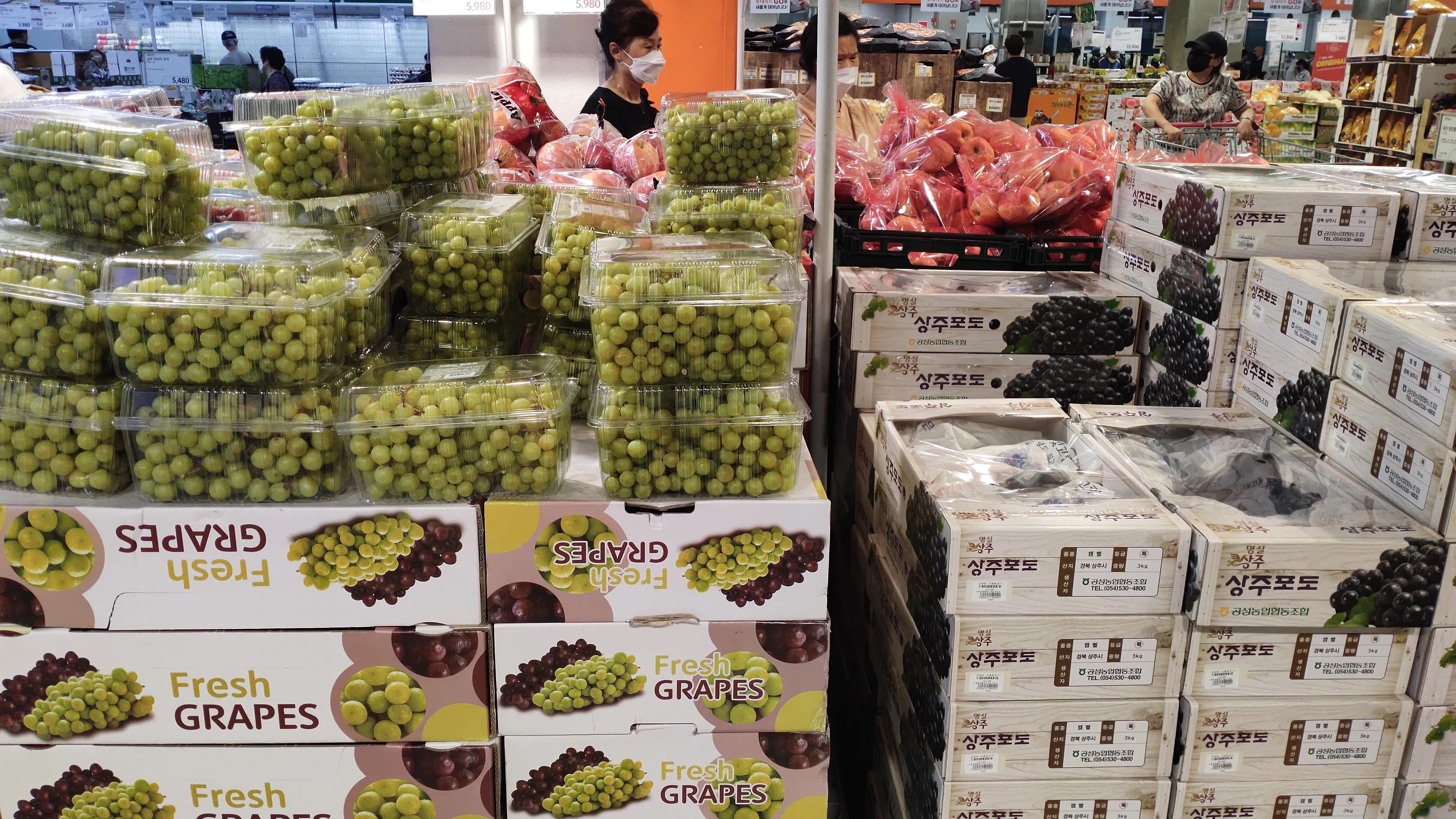 首尔layered咖啡,首尔很多萨摩耶的地方