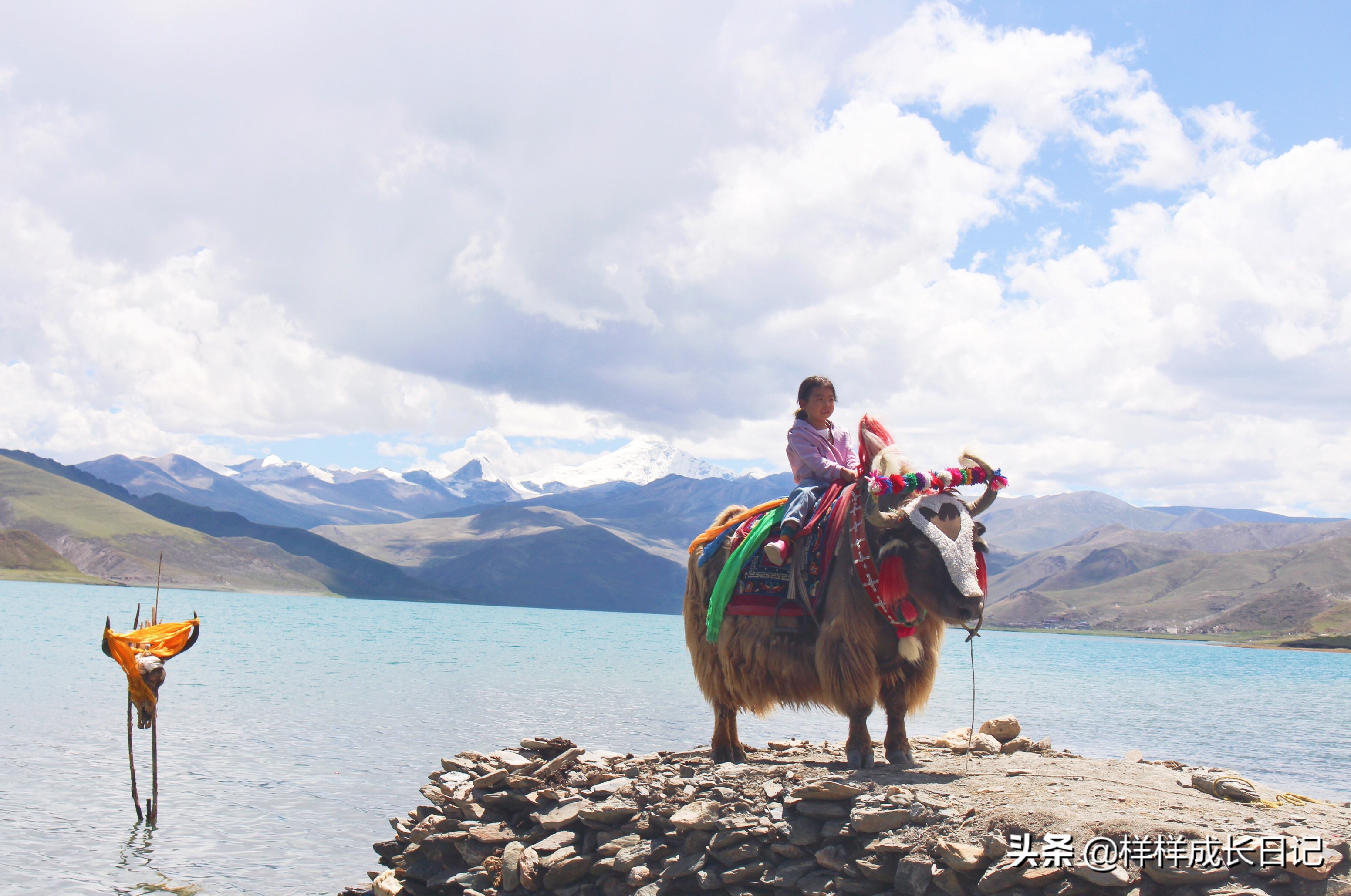 自驾西藏不下车会不会高反,自驾游无高反