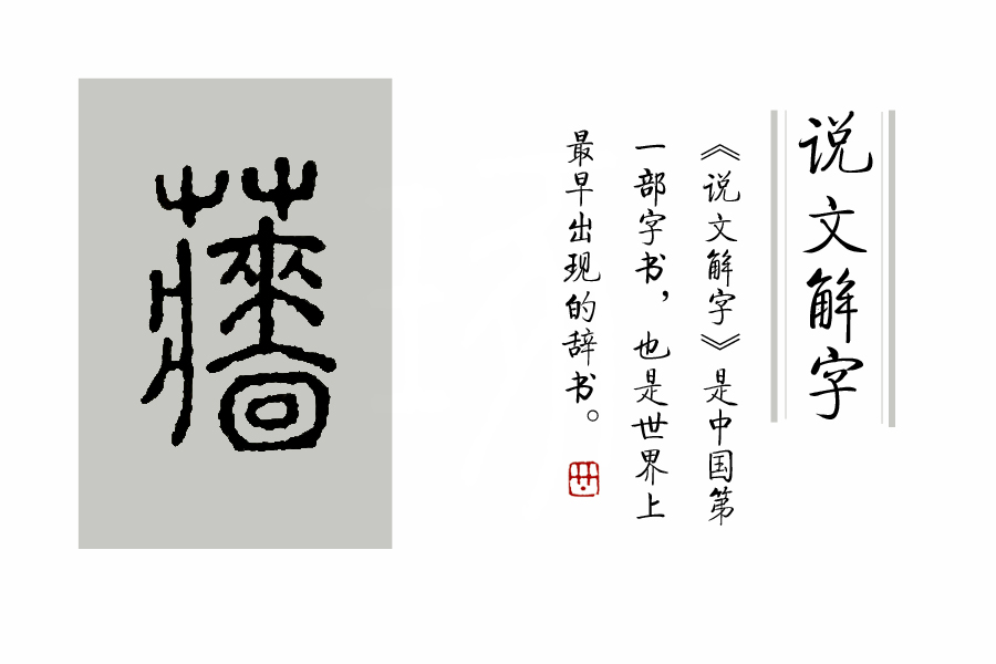 菊花在古代被古人称为什么之一,古代菊花的别称是什么