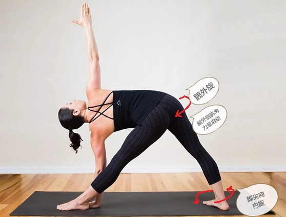 精准瑜伽60分钟排课体式串联,双人瑜伽体式串联排课加口令