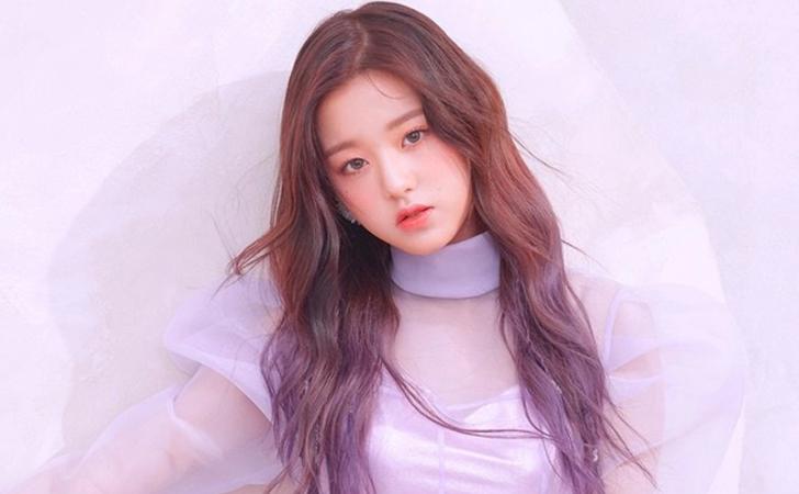 饭圈文化何时能进军体育界,饭圈文化什么时候进入体育圈