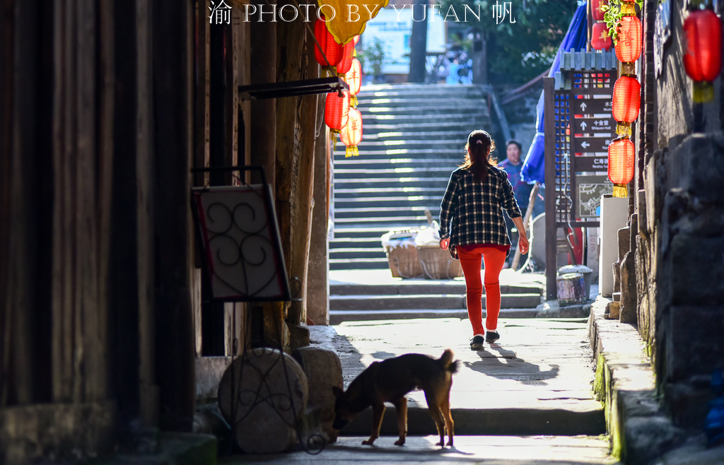 周末去哪儿玩重庆巴南,巴南周末户外带孩子去哪里玩