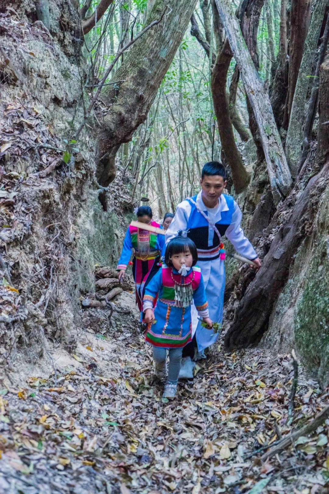 腾冲高山草甸景点,腾冲高原草场